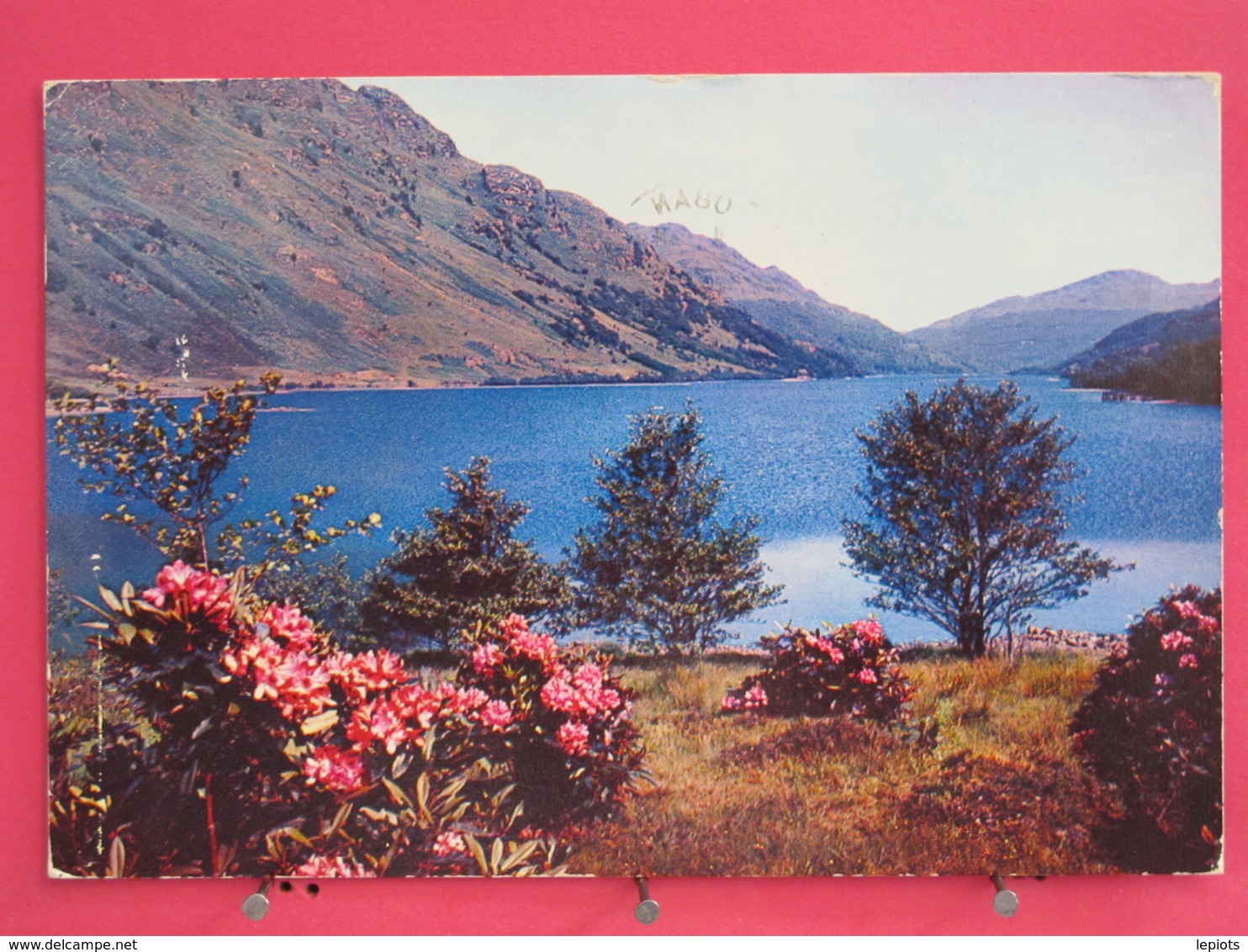 Ecosse - Loch Eck Near Dunoon - Argyll Shire - 1968 - Scans Recto-verso - Argyllshire