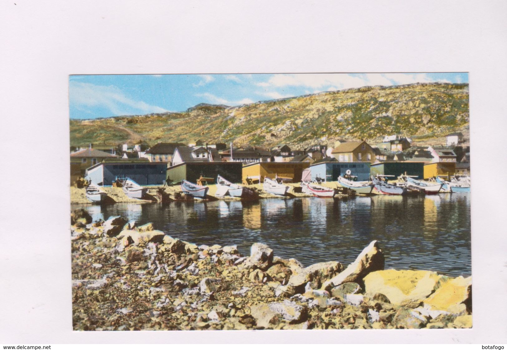 CPM PHOTO ST PIERRE ET MIQUELON,UNE ANSE DE PECHE - Saint-Pierre-et-Miquelon