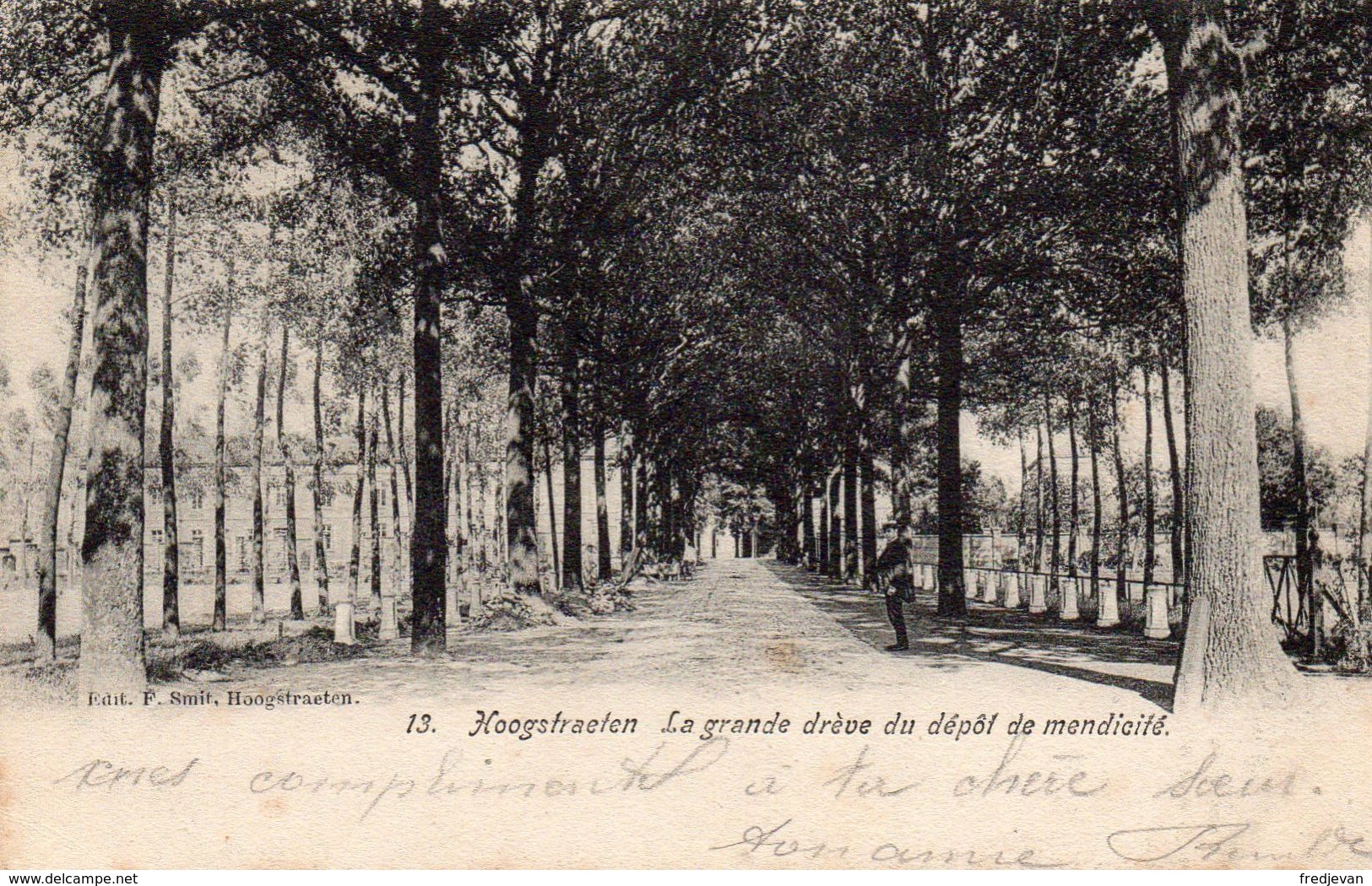 Hoogstraeten - La Grande Dréve Du Dépot De Mendicité / 1908 - Hoogstraten