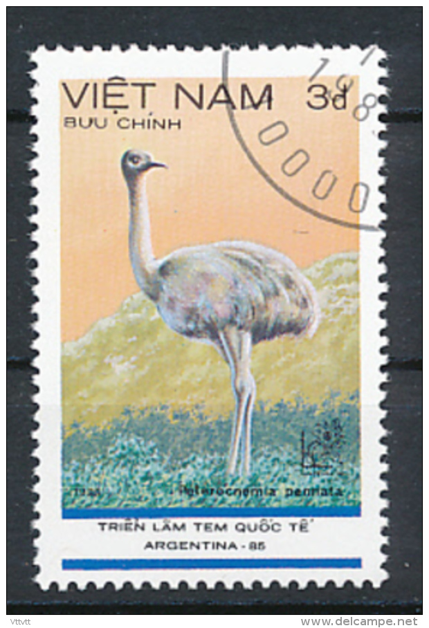 Viêt Nam (1985) : Oiseaux, Pterocnemia Pennata, Nandou De Darwin, Autruche - Ostriches