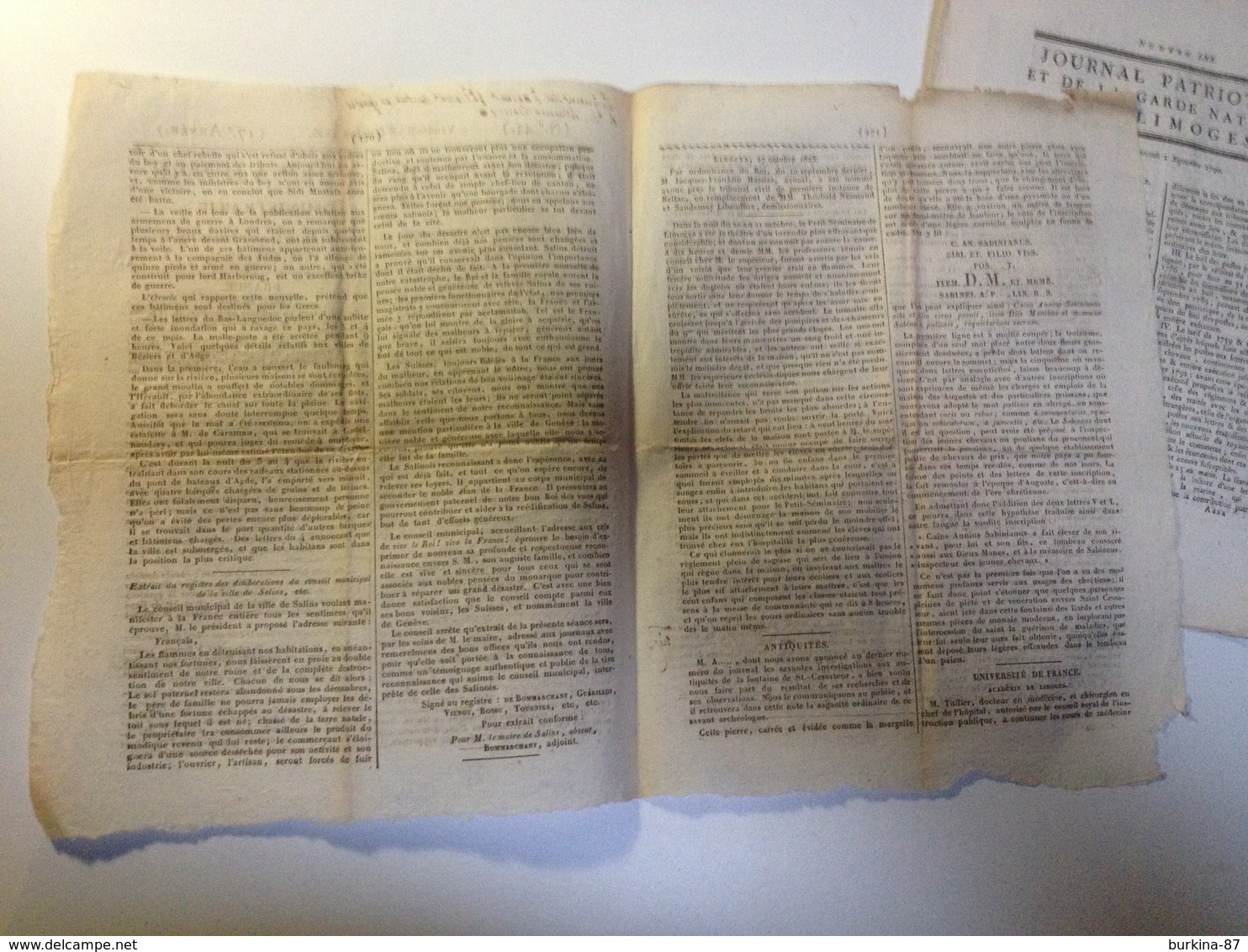 ANNALES De La Hte VIENNE , 1825, Journal Administratif, Littéraire,  Commercial ...... - 1800 - 1849
