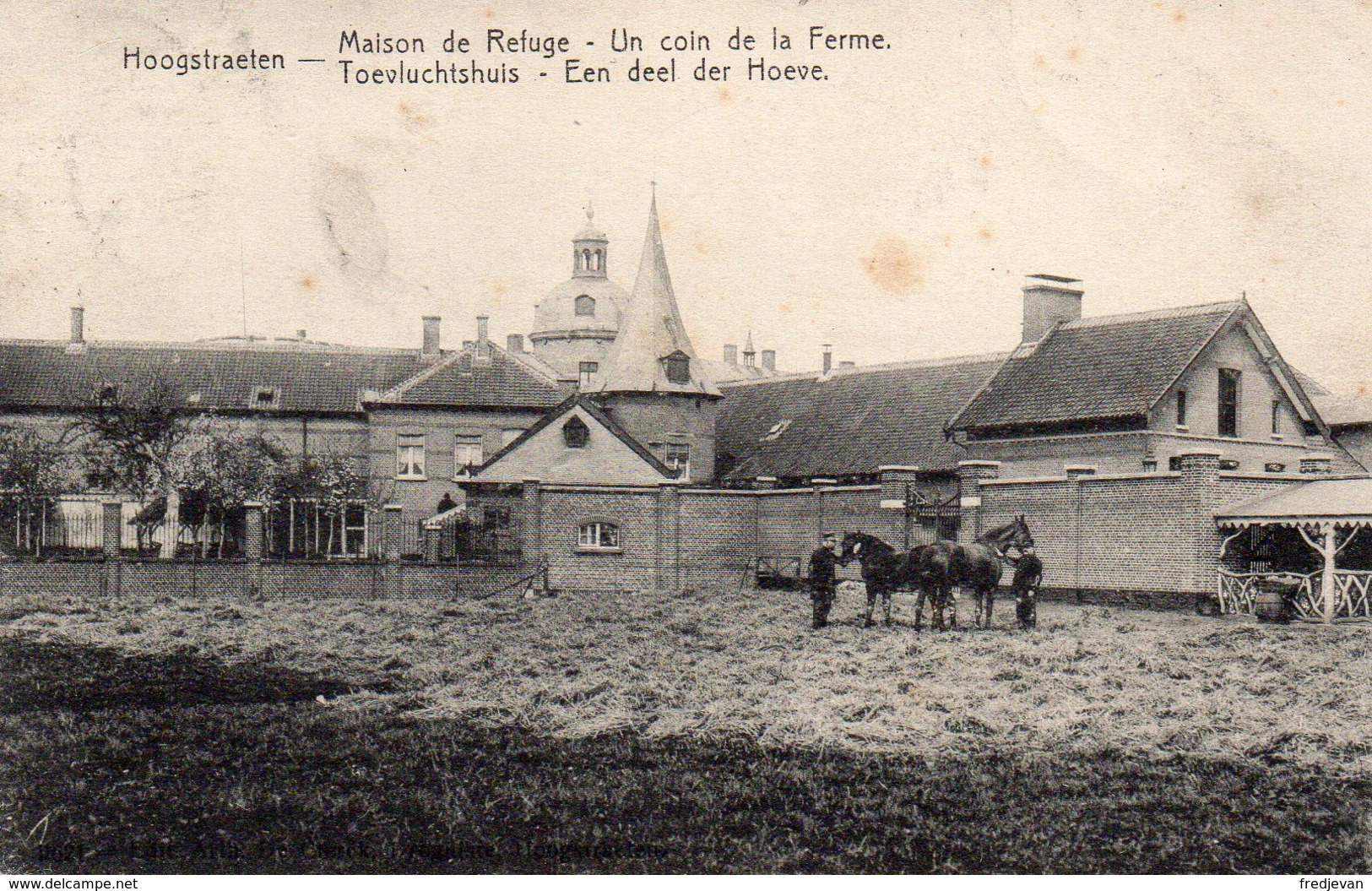 Hoogstraten / Maison De Refuse / Toevluchtshuis - Een Deel Der Hoeve Met Paarden - 1907 - Hoogstraten