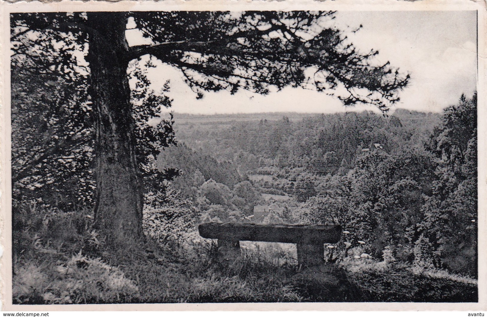 LOGNE / VIEUXVILLE / HAMOIR / LE POINT DE VUE / EDIT HOTEL DE LA LAMBREE - Hamoir