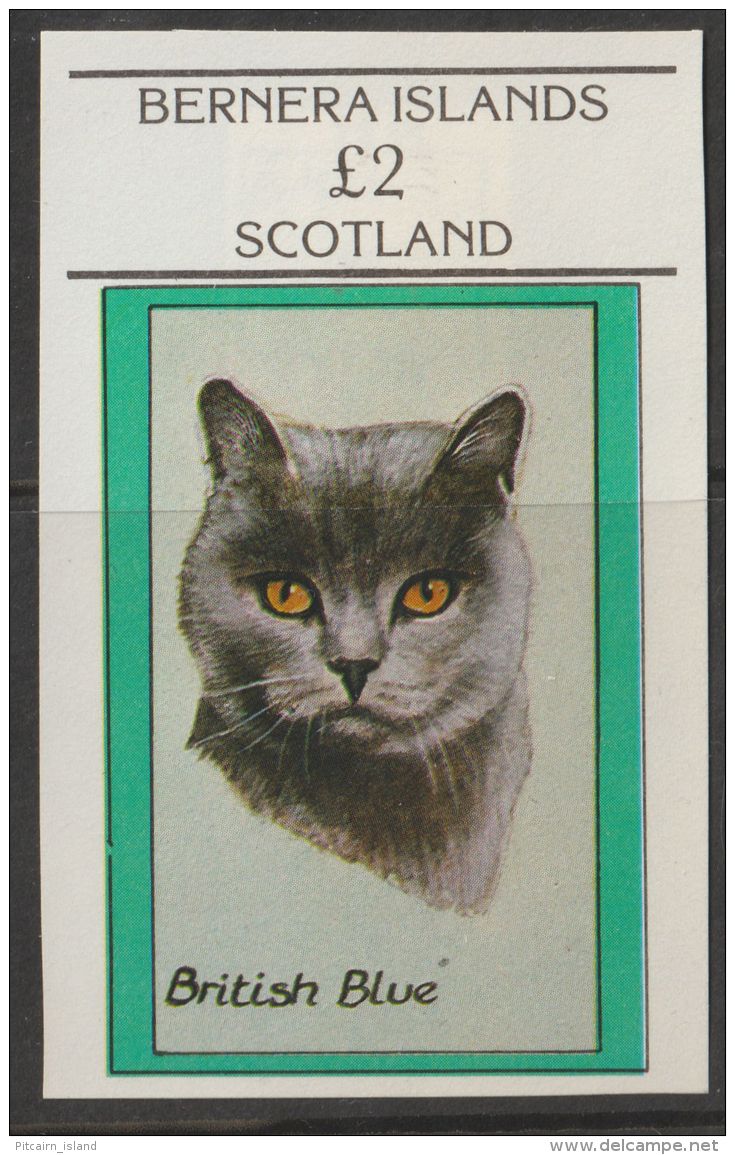 GB UK Engeland Scotland Bernera Island 1982 Cat. Gallery Nr. 1493 MNH Imperf. British Blue Cat - Cinderellas