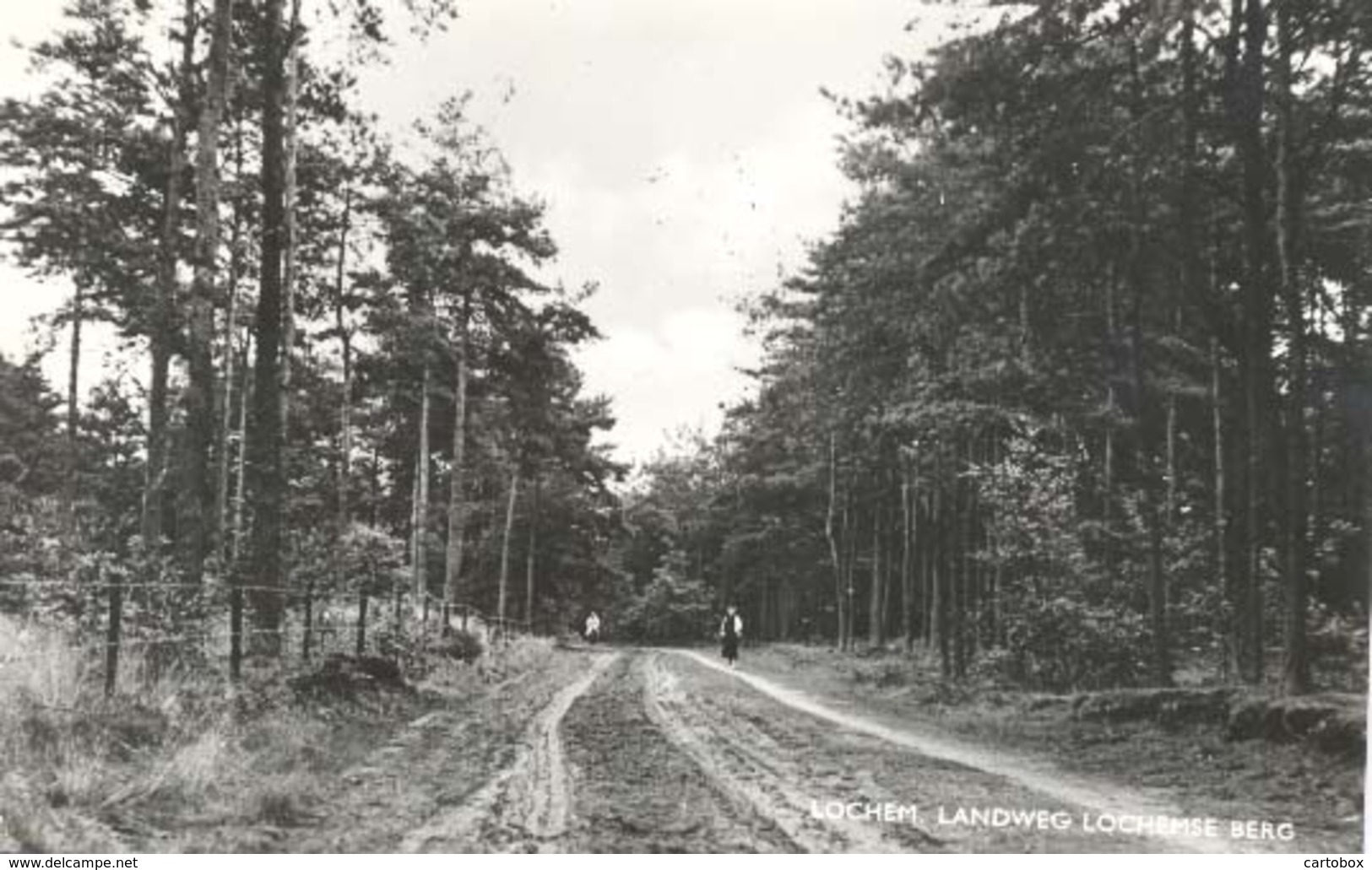 Lochem, Landweg Lochemse Berg - Lochem