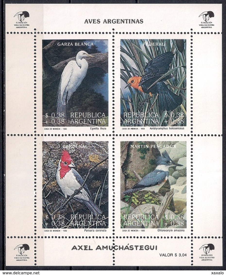 Argentina 1993 - Birds - Paintings Of Birds By Axel Amuchastegui MINT - Nuevos