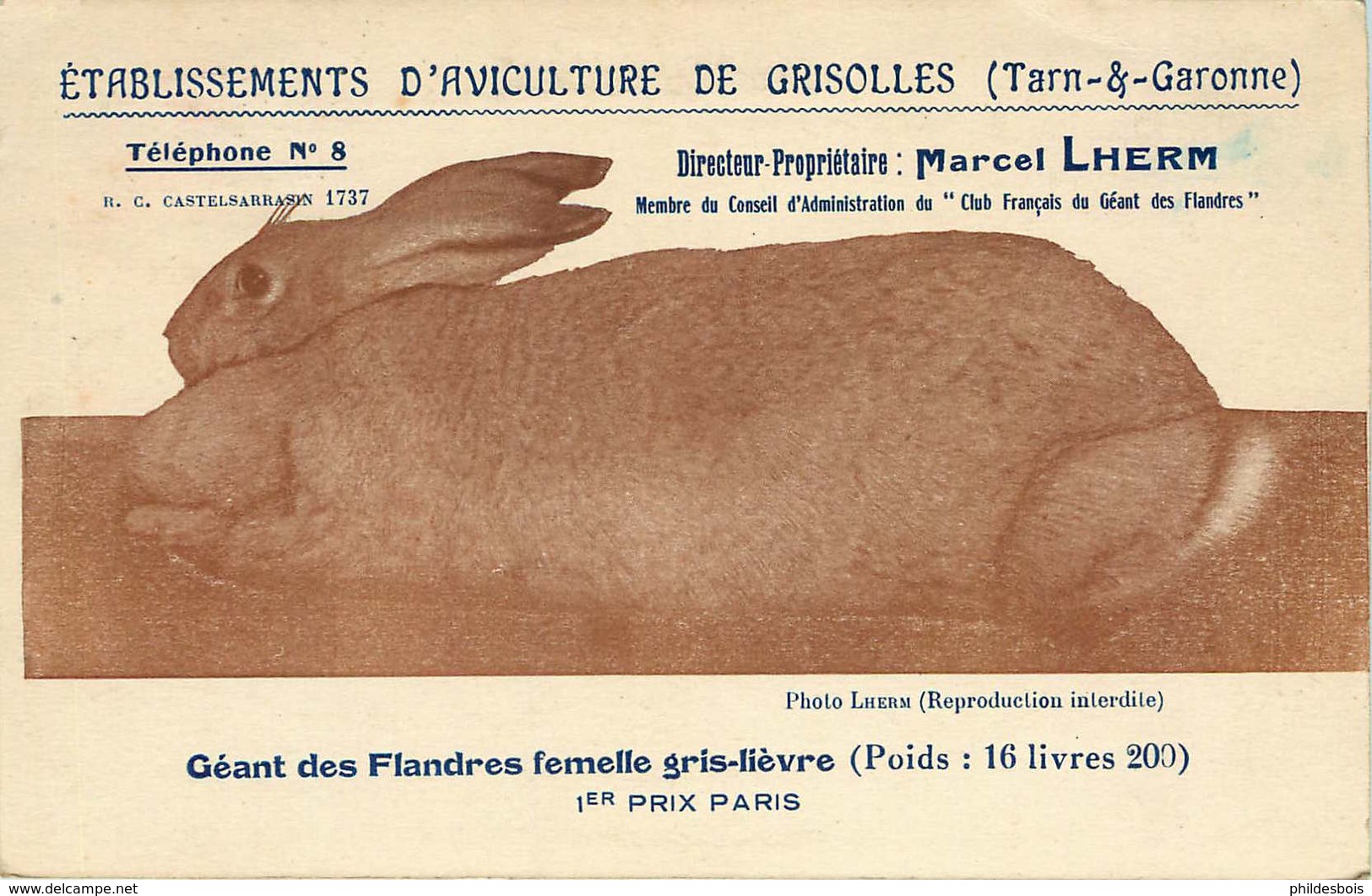 TAR ET GARONNE GRISOLLES ( Carte Publicitaire ) ETABLISSEMENT D'AVICULTURE  Directeur M .LHERM - Grisolles