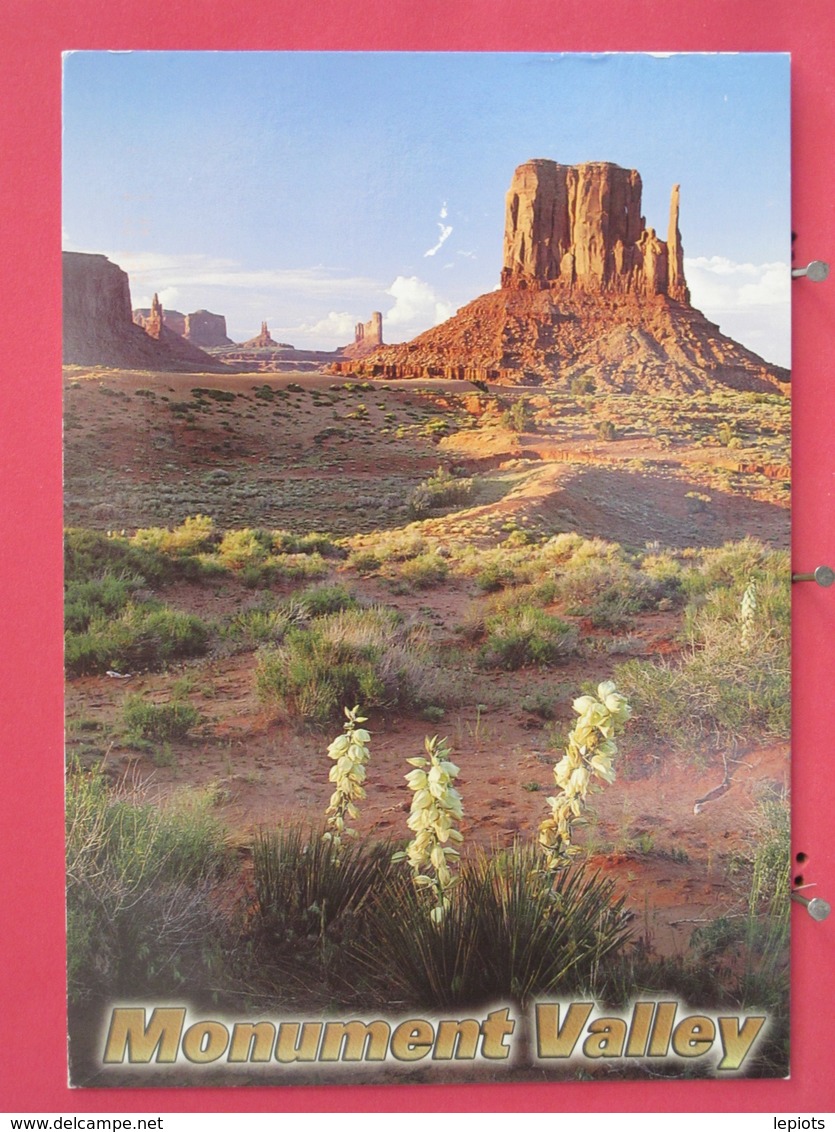 Etats Unis - Arizona Utah - Monument Valley - Mitten Butte With Yucca Plants - Joli Timbre - Scans Recto-verso - Monument Valley