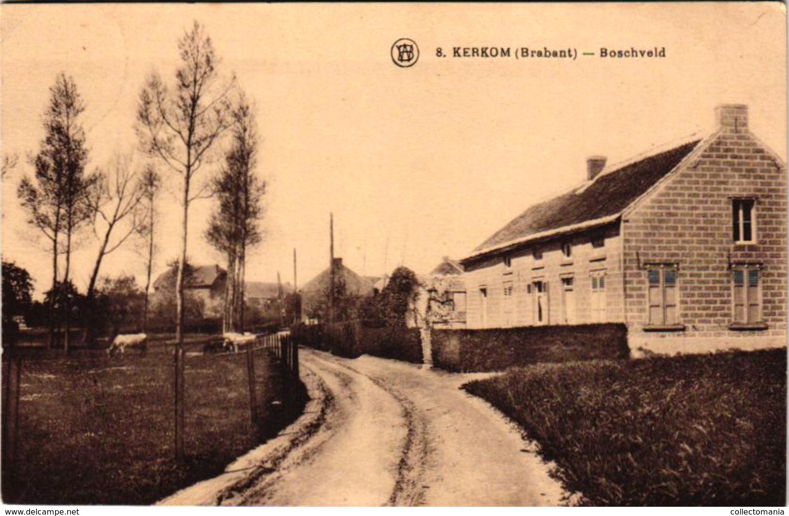 Oude Postkaart   Kerkom Boschveld Brabant   - Ed. WALSCHAERTS - Boutersem