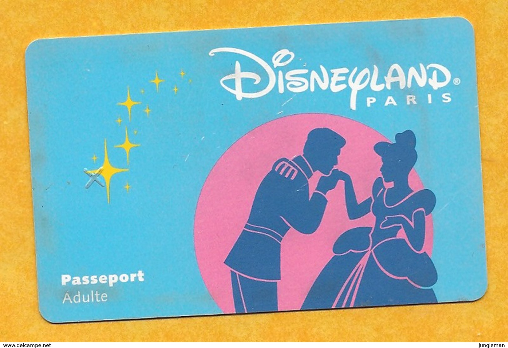 Carte Passeport Adulte - Disneyland Paris - Pasaportes Disney