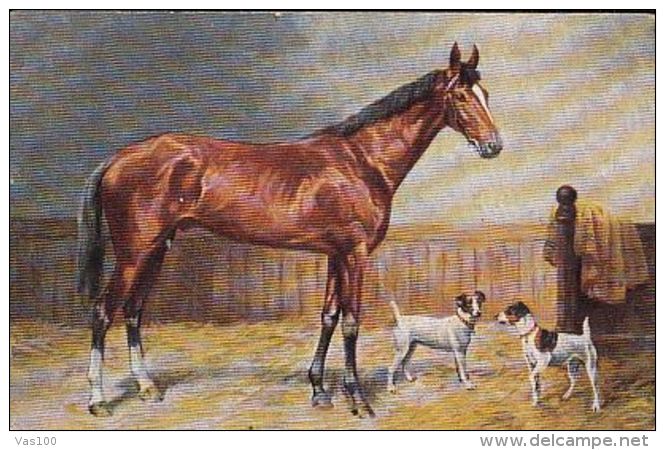 CPA UNSIGNED ILLUSTRATION, HORSE AND DOGS - 1900-1949