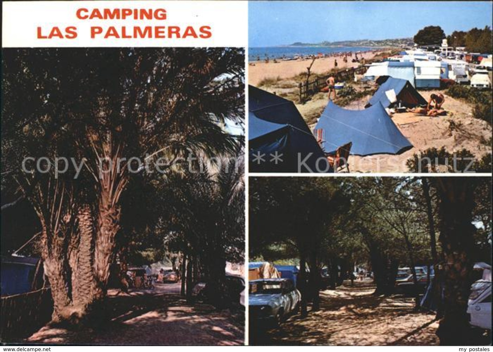 72003016 Tarragona Camping Las Palmeras  Tarragona - Otros & Sin Clasificación