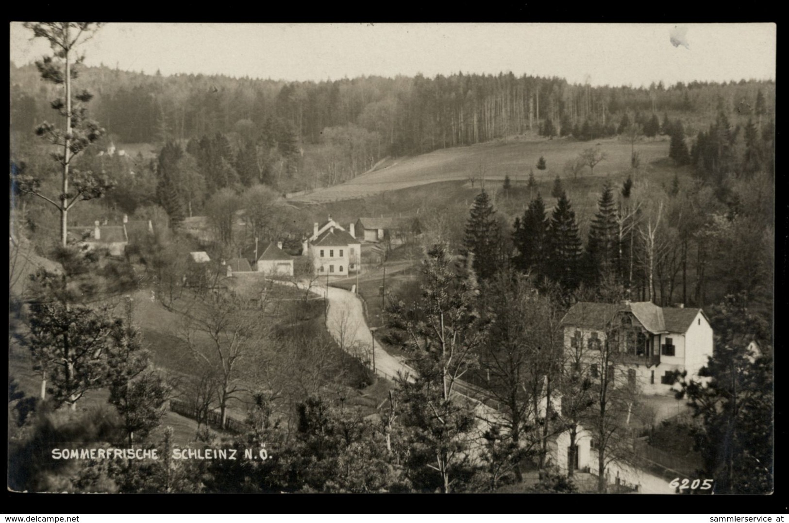 [034] Schleinz, Walpersbach, 1931, Bez. Wr. Neustadt-Land, Verlag Scherz Ofenbach - Wiener Neustadt