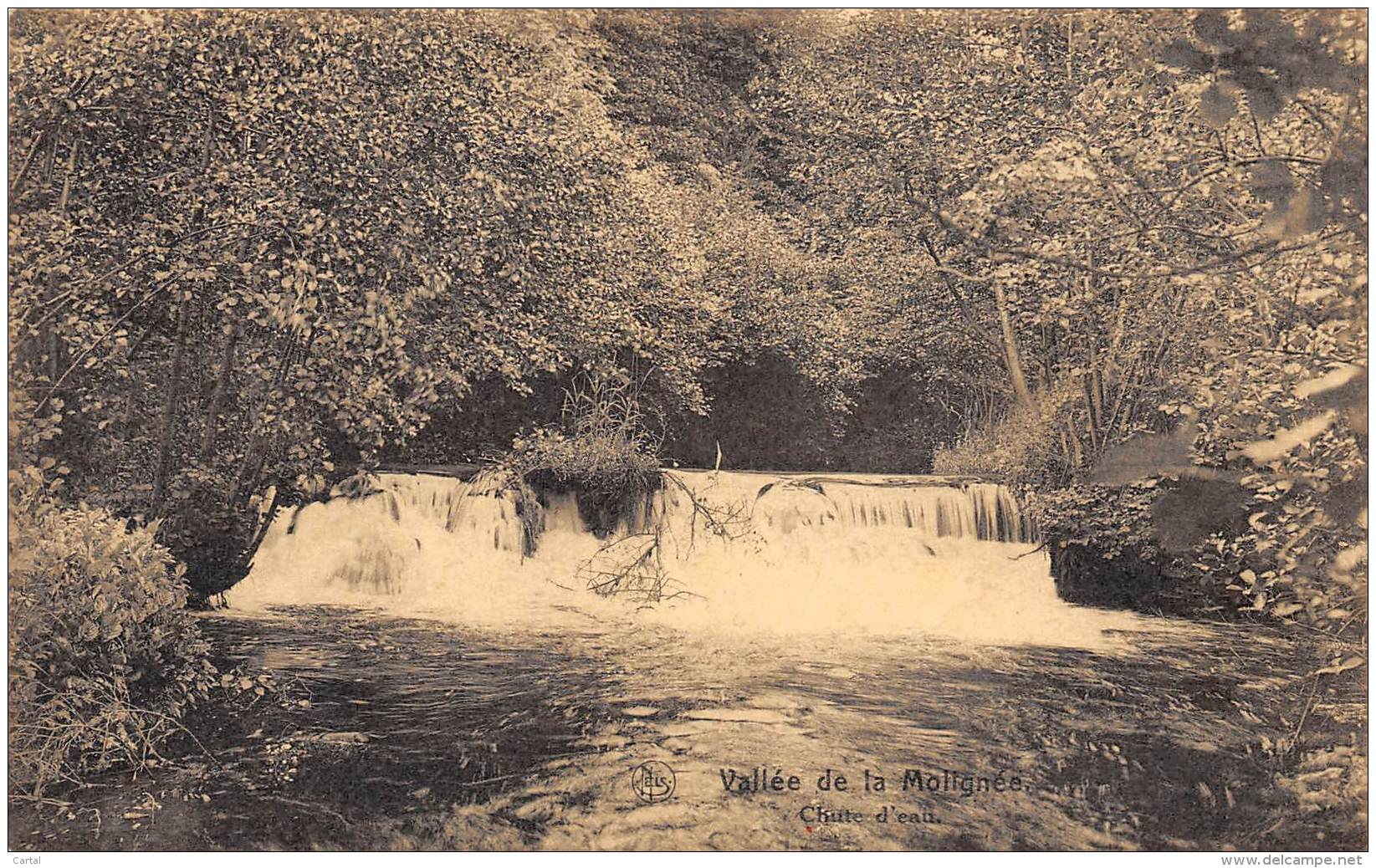 Vallée De La Molignée - Chute D'eau - Onhaye