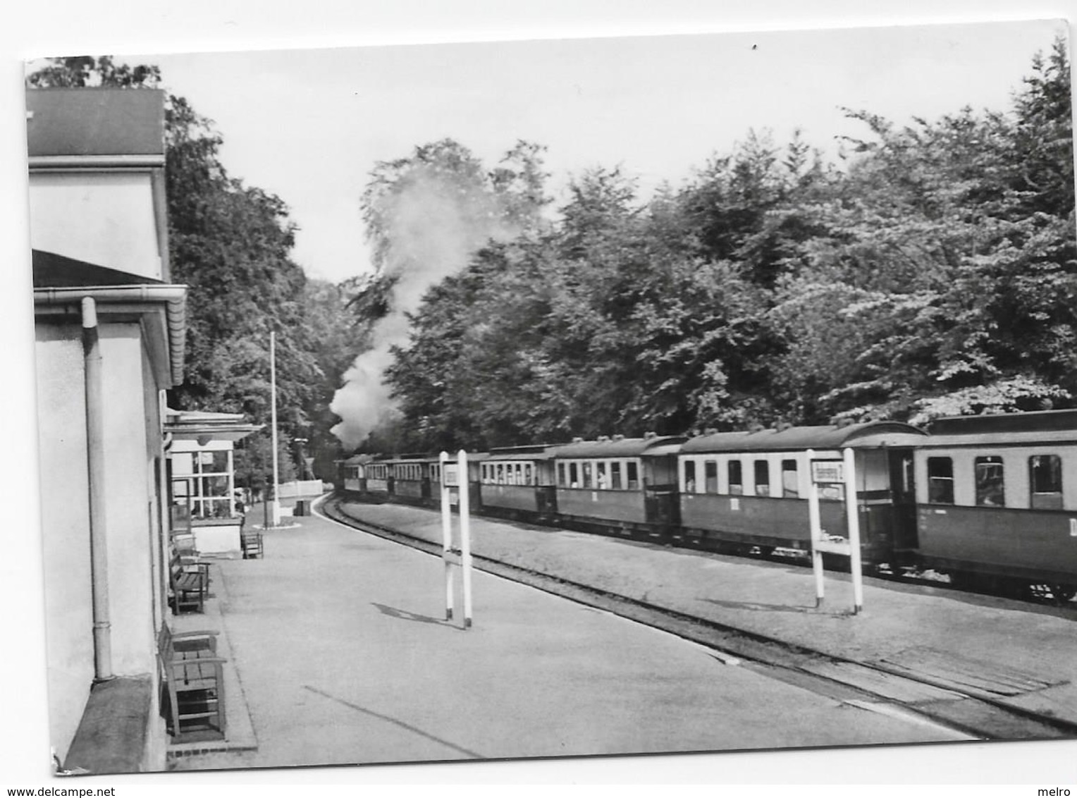 BAD DOBERAN - Bahnhof Mit Baderbahn. - Bad Doberan