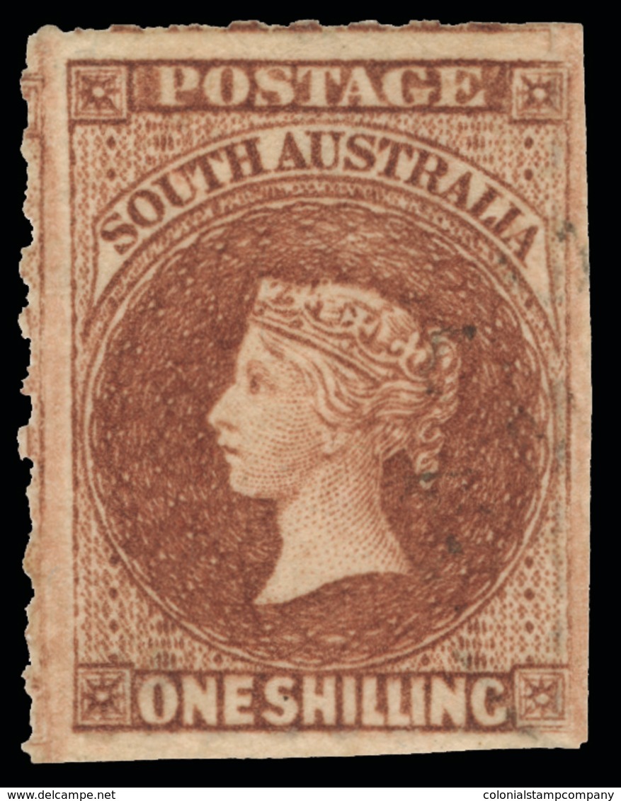 * Australia / South Australia - Lot No.88 - Usati