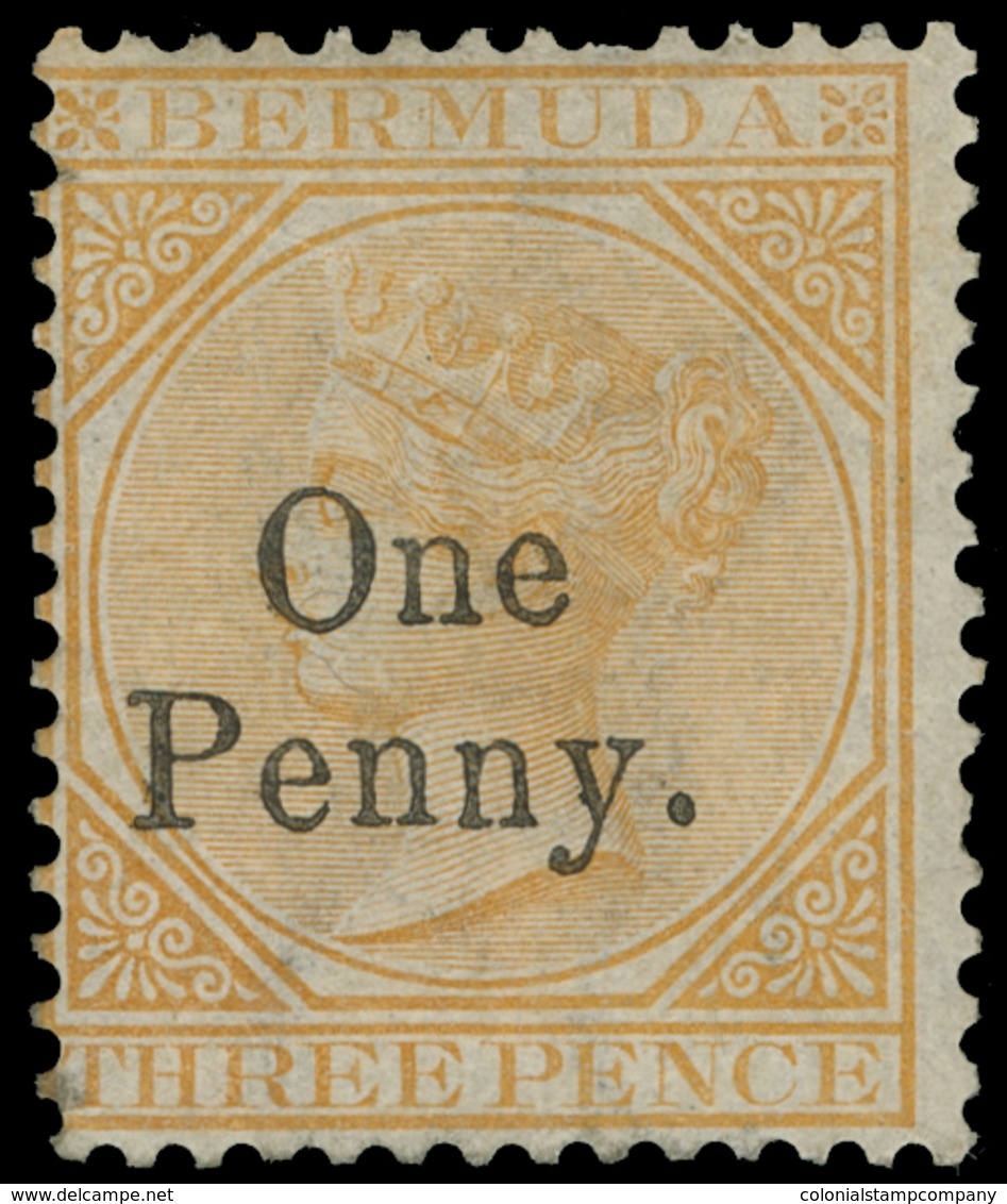 * Bermuda - Lot No.258 - Bermudas