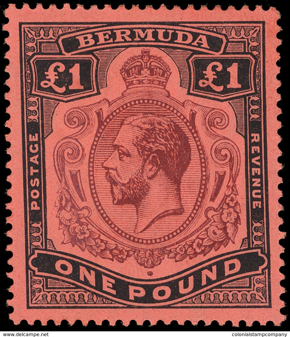 * Bermuda - Lot No.263 - Bermudas