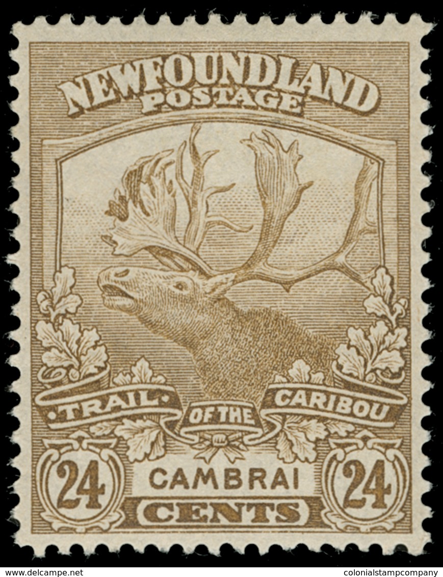 * Canada / Newfoundland - Lot No.380 - 1857-1861