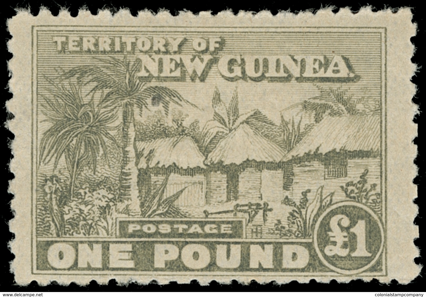 * New Guinea - Lot No.800 - Papua Nuova Guinea
