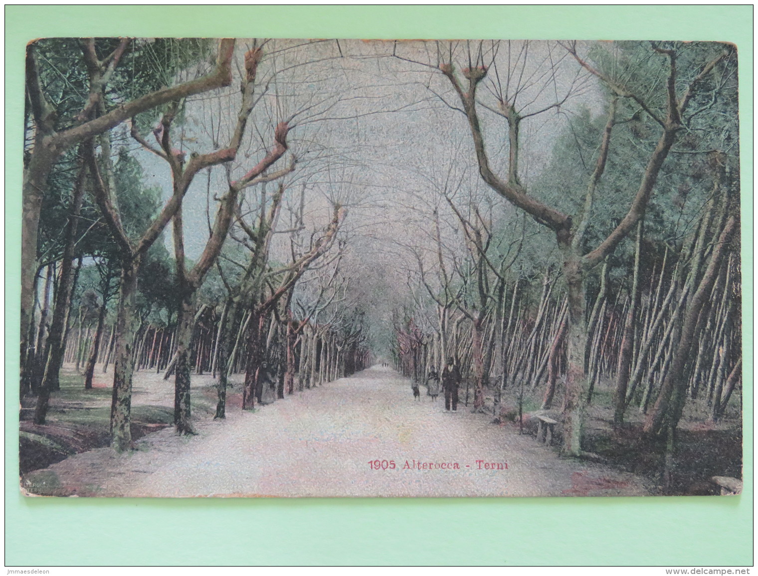 United Kingdom 1910 Postcard ""Italia - Alterocca Terni - Trees"" Darlington To London - Georges V - Storia Postale