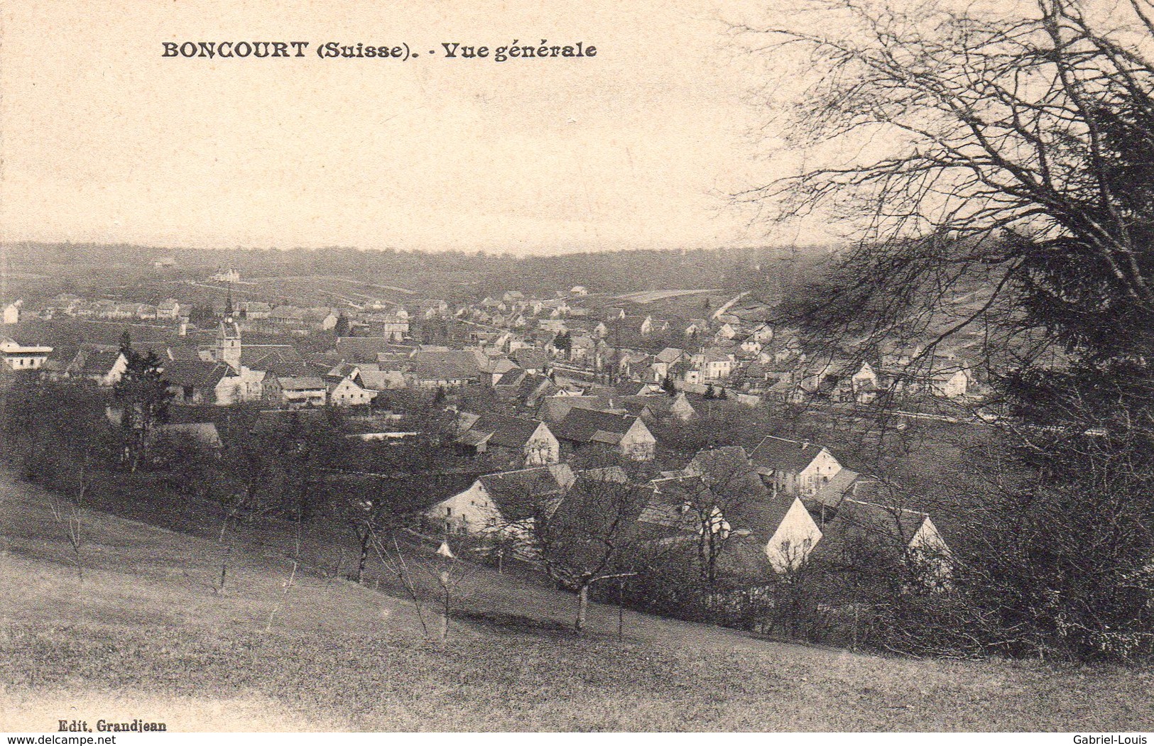 Boncourt Vue Générale - Boncourt