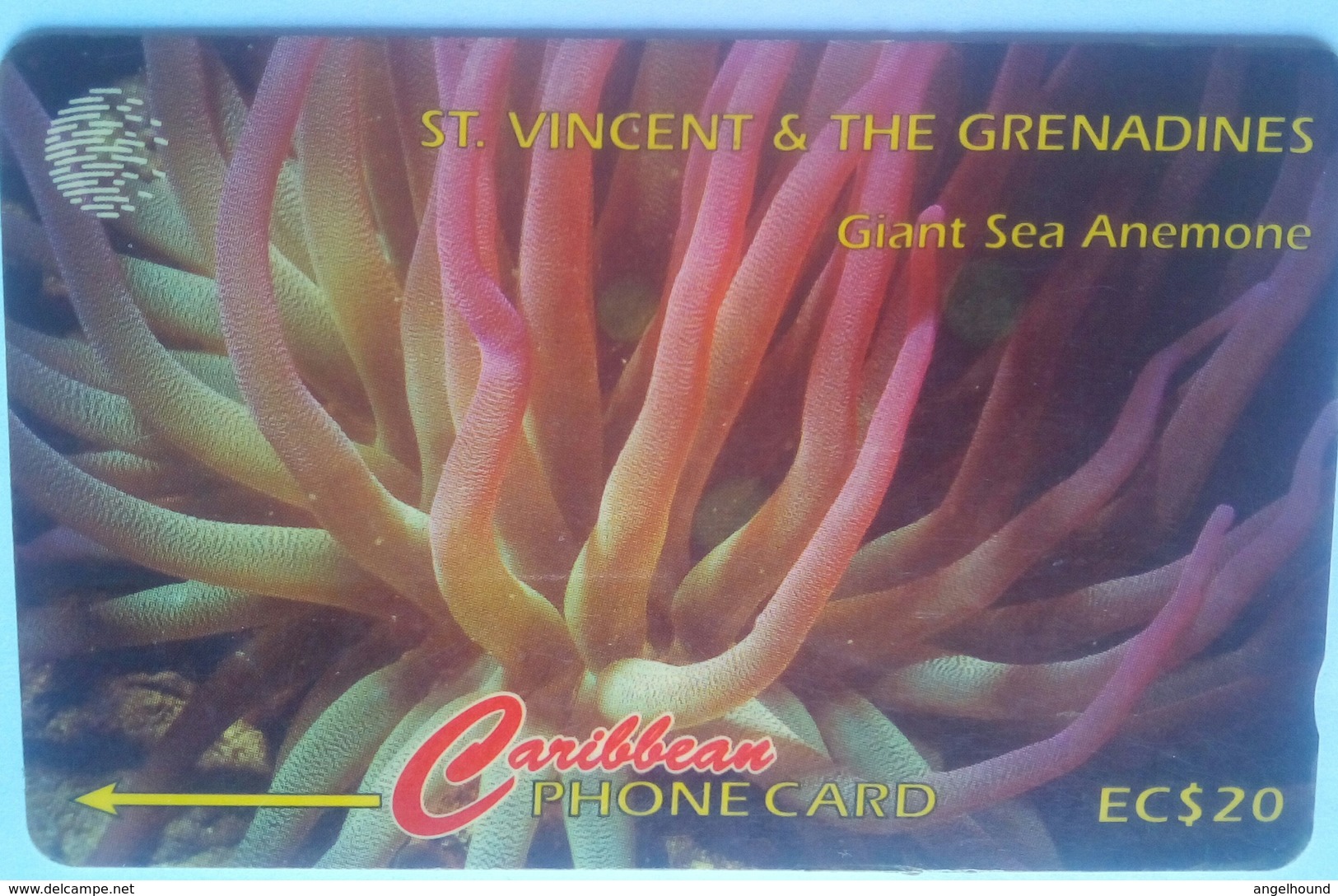 52CSVG Giant Sea Anemone EC$20 - St. Vincent & The Grenadines