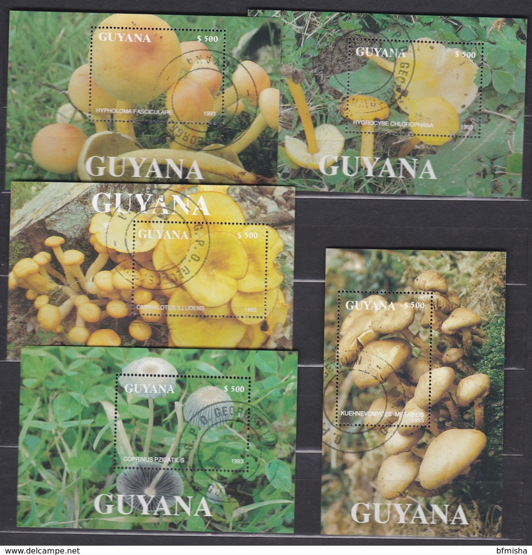 Guyana 1993 Mi Bl 269-273 CTO (cat. Val 15.00) - Guyana (1966-...)