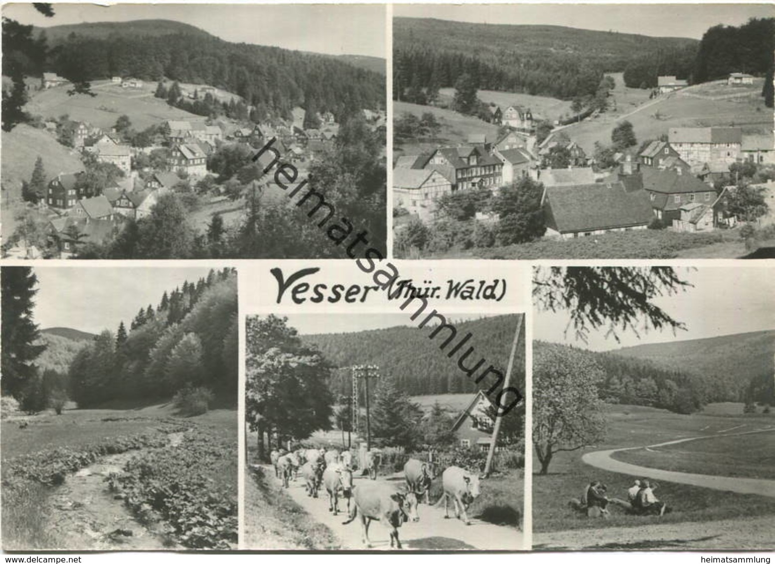 Vesser - AK-Grossformat 60er Jahre - Verlag Foto-Kupfer Schmiedefeld - Suhl