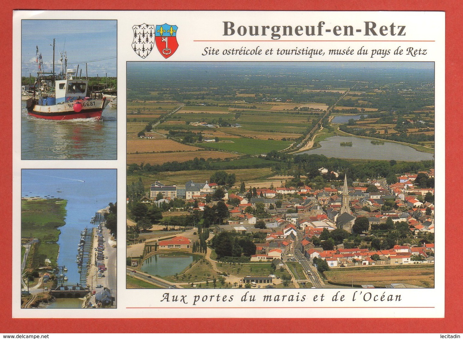 CP 44 BOURGNEUF EN RETZ  560 - Bourgneuf-en-Retz