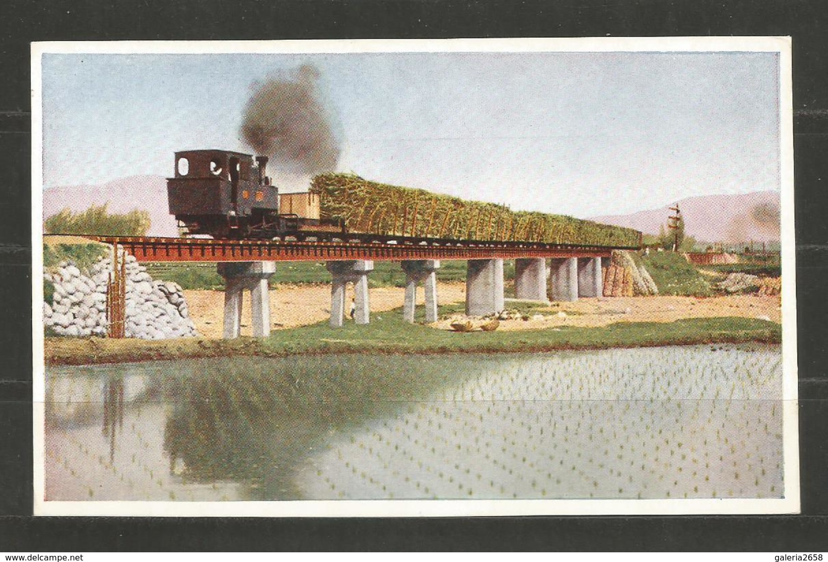 CHINA  - TRAIN - TRENES - INTERESTING POST  CARD - D 2790 - Cina