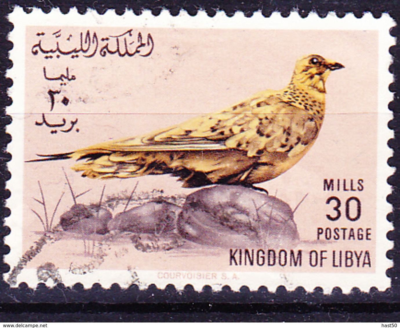 Libyen - Tropfenflughuhn (Pterocles Senegallus) (MiNr: 182) 1965 - Gest Used Obl - Libië