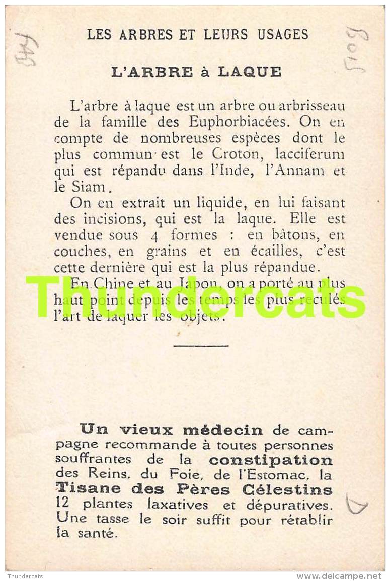 CHROMO LES ARBRES ET LEURS USAGES TISANE DES PERES CELESTINS  L'ARBRE A LAQUE - Otros & Sin Clasificación