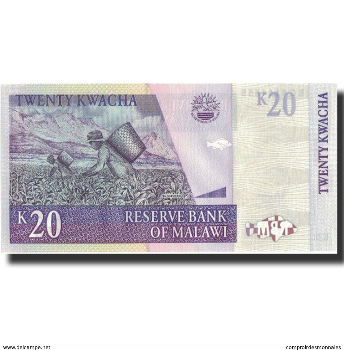 Billet, Malawi, 20 Kwacha, 2007, 2007-10-31, KM:52a, NEUF - Malawi