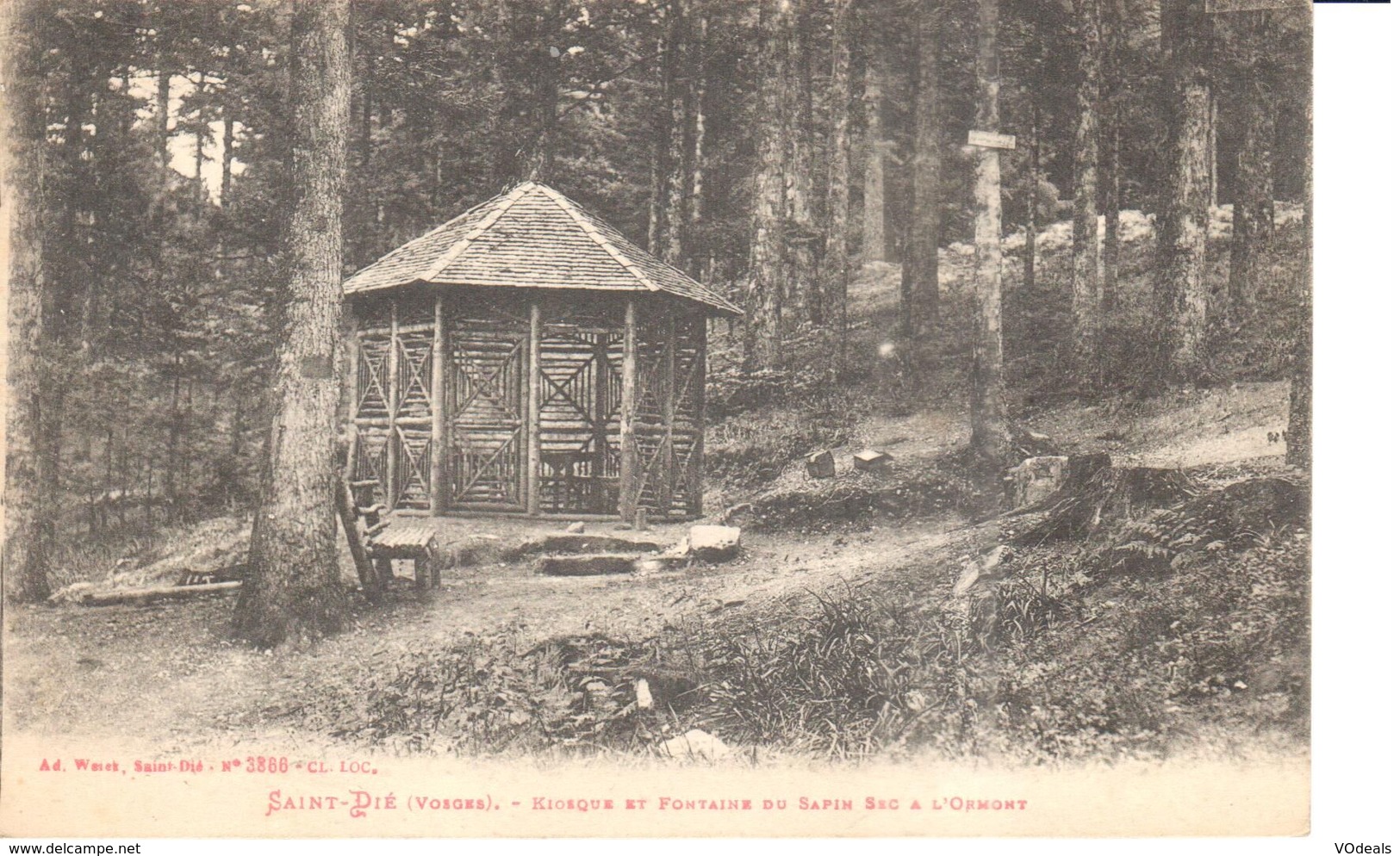 (88) Vosges - CPA - Saint Die - Kiosque Et Fontaine Du Sapin Sec à L'Ormont - Saint Die