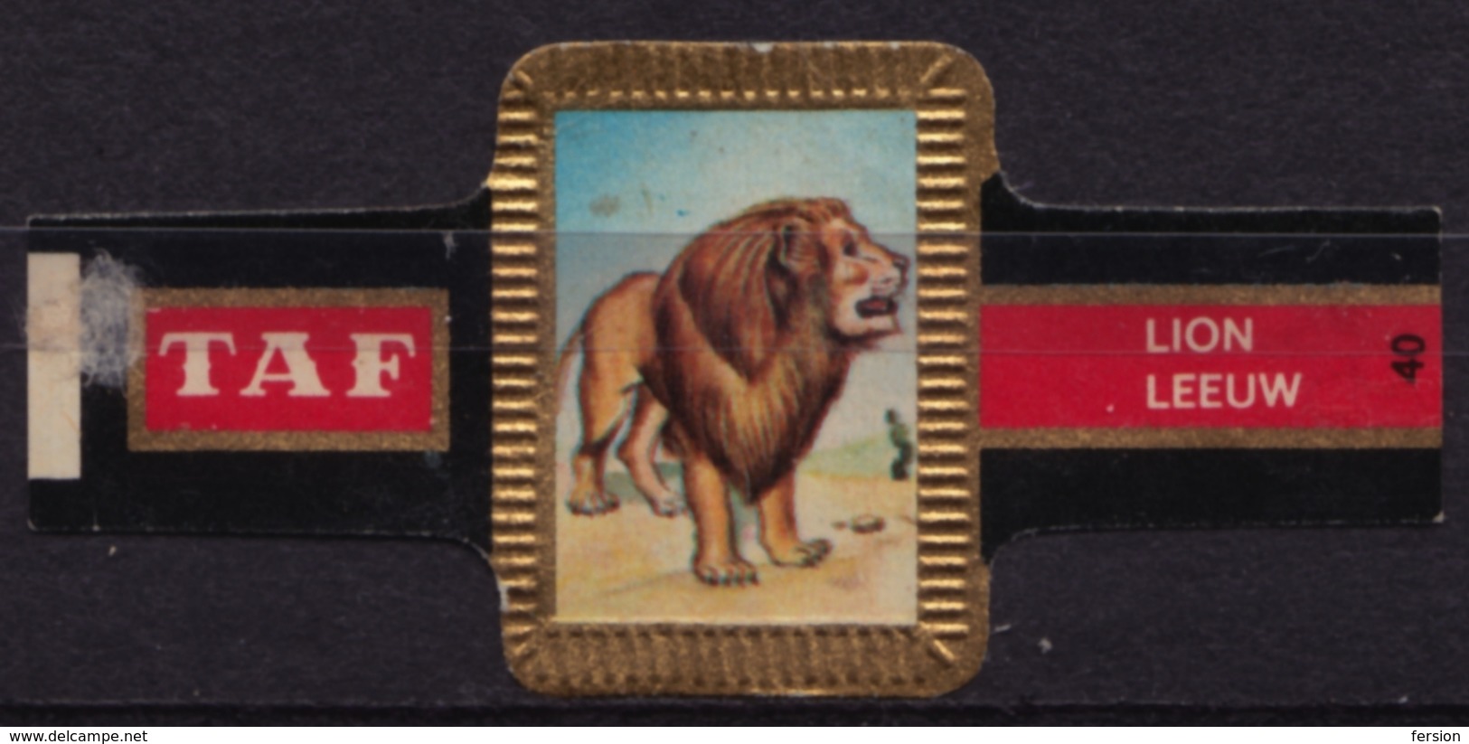 LION - Animal Mammals - Belgium Belgique - TAF - CIGAR CIGARS Label Vignette - Labels