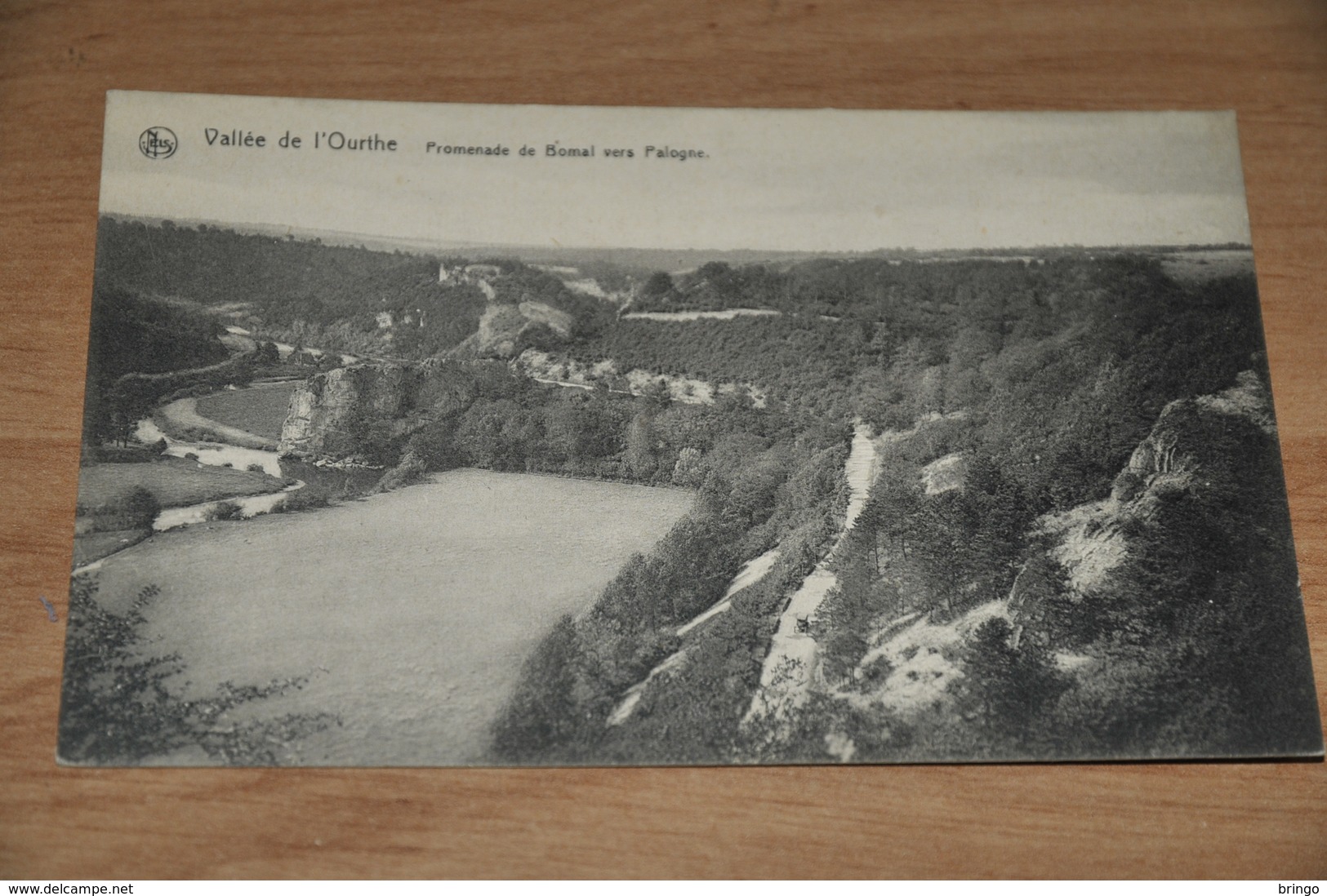 1018-  Vallée De L'Ourthe, Promenade De Bomal Vers Palogne - Ferrières