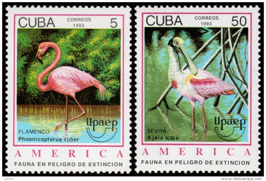 ~~~ Cuba 1993 - UPAEP Fauna Birds Pelican - Mi. 3705/3706 ** MNH OG  ~~~ - Ongebruikt