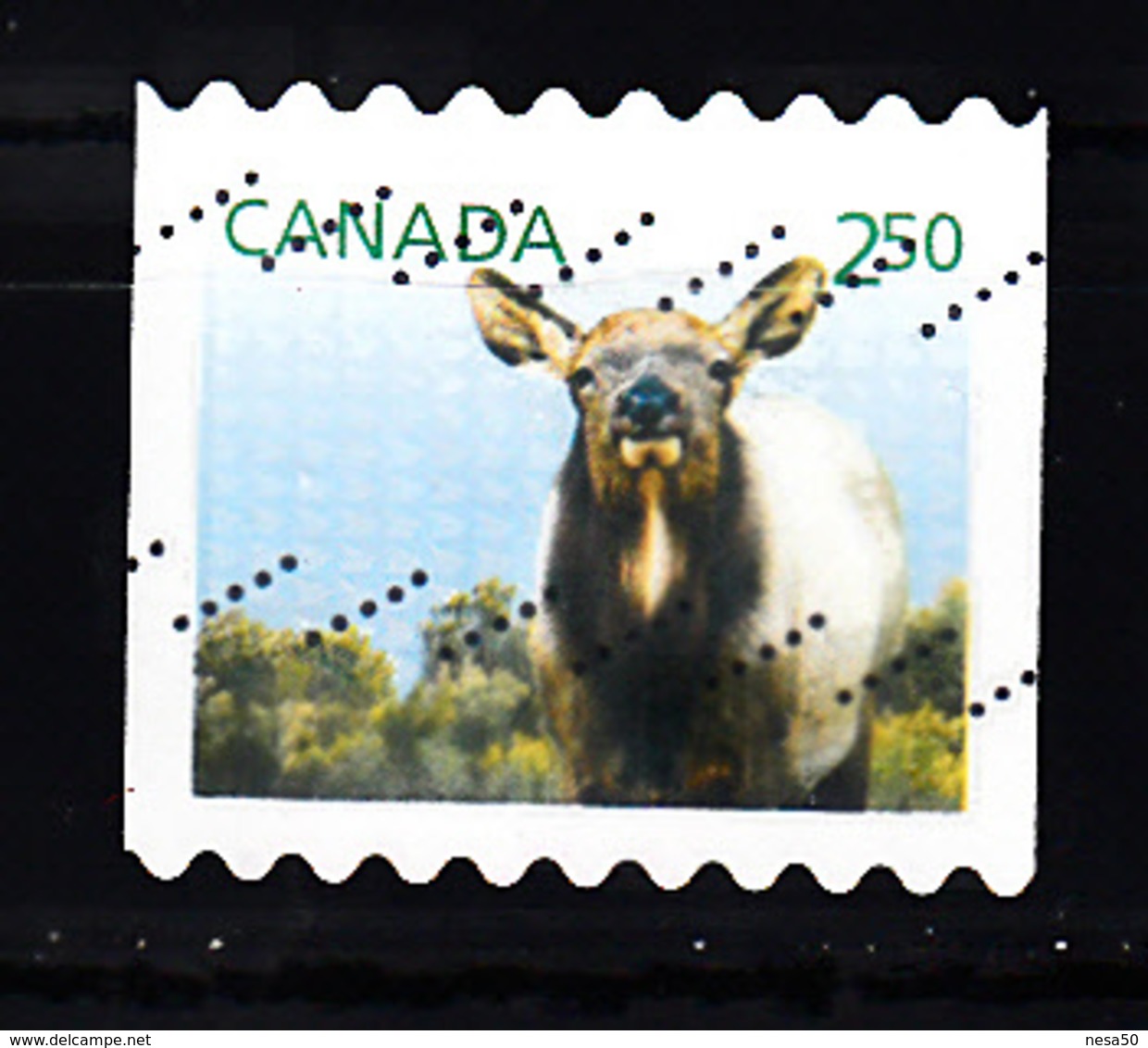 Canada 2014 Mi Nr 3086 Dier, Animal, Wapiti - Gebruikt