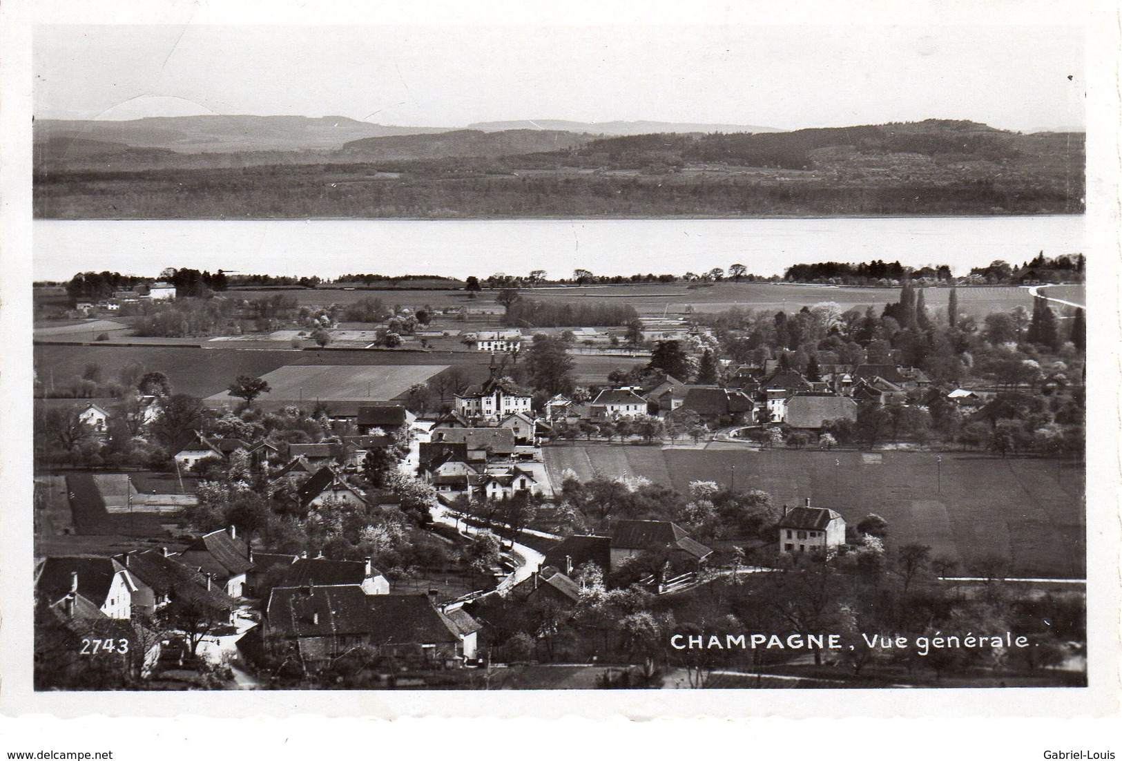 Champagne Vue Générale - Champagne