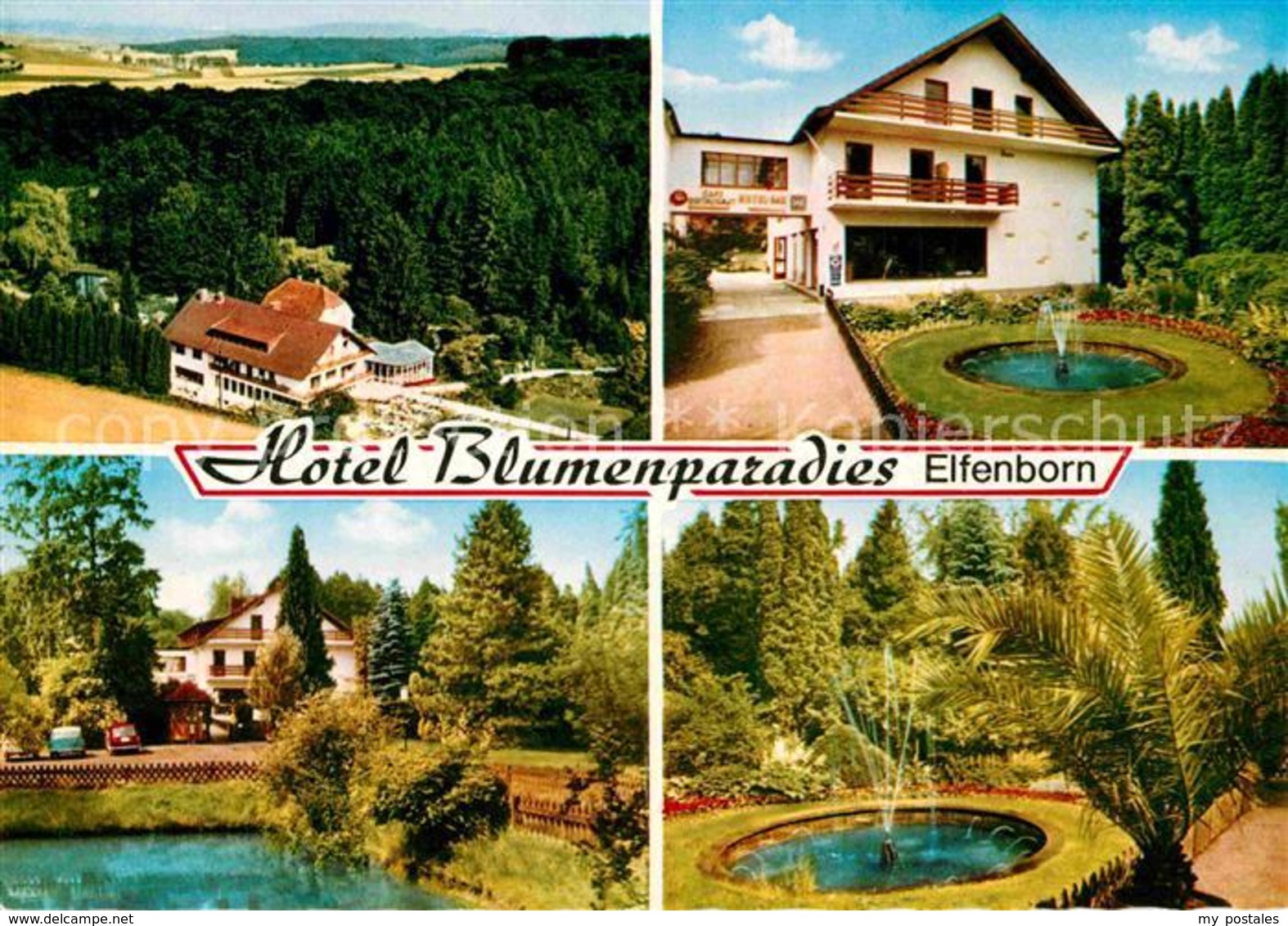 32809452 Elfenborn Rinteln Hotel Blumenparadies Elfenborn Rinteln Weser - Rinteln