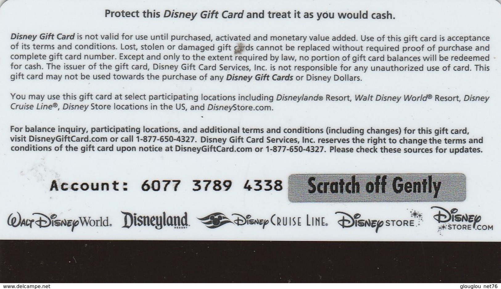 PASSEPORT DISNEY  GIFT CARD   MICKEY ET MIMIE - Passeports Disney