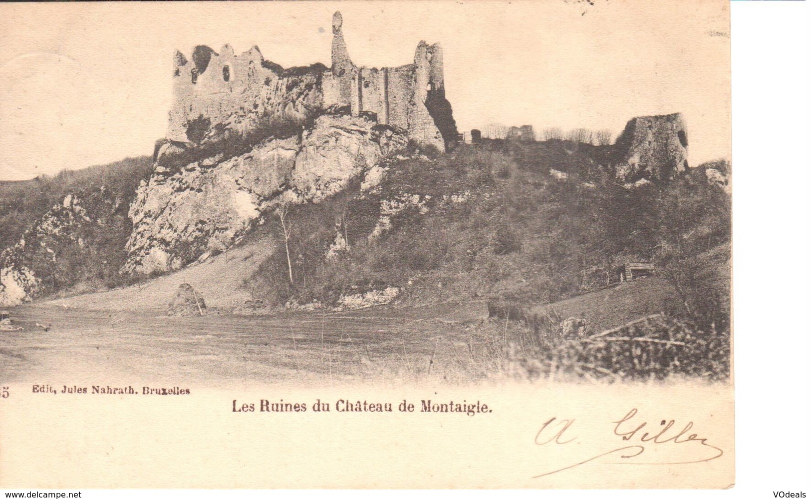 Namur - CPA - Onhaye - Les Ruines Du Château De Montaigle - Onhaye