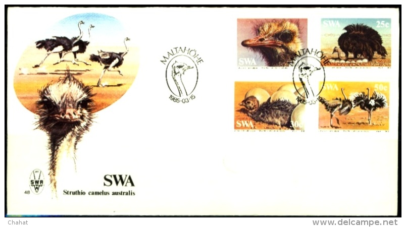 BIRDS-FLIGHTLESS BIRDS-OSTRICHES-FDC-SWA-1995-BX1-378 - Autruches