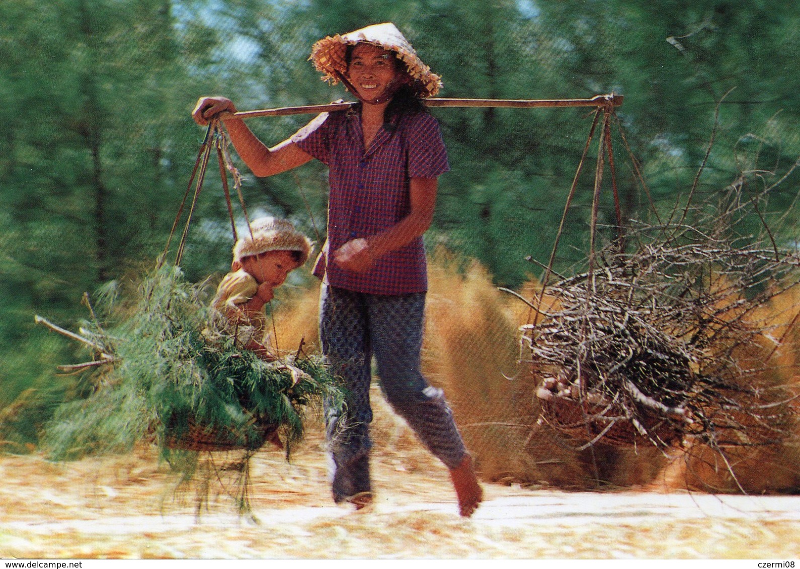 Vietnam - Postcard - Carte Postale - Viêt-Nam