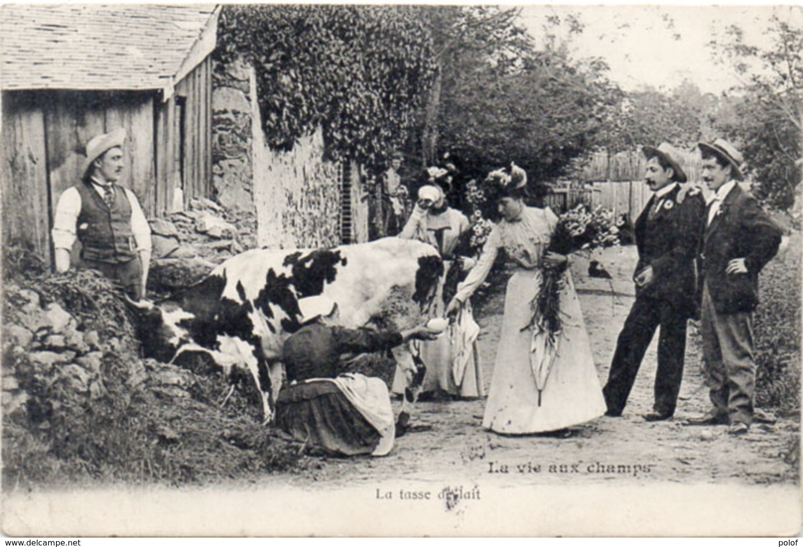 La Vie Aux Champs - La Tasse De Lait - Vache   (104521) - Vaches