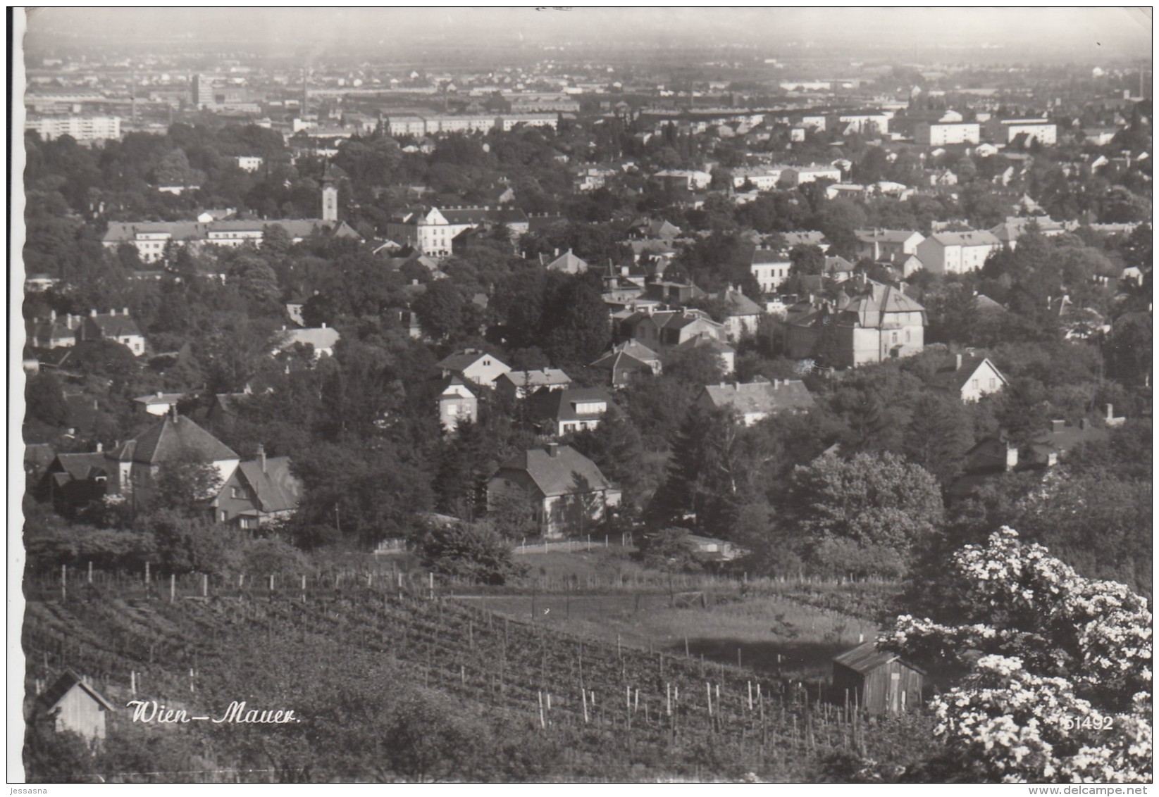 AK - Wien Mauer - Panorama - 70iger - Sonstige & Ohne Zuordnung