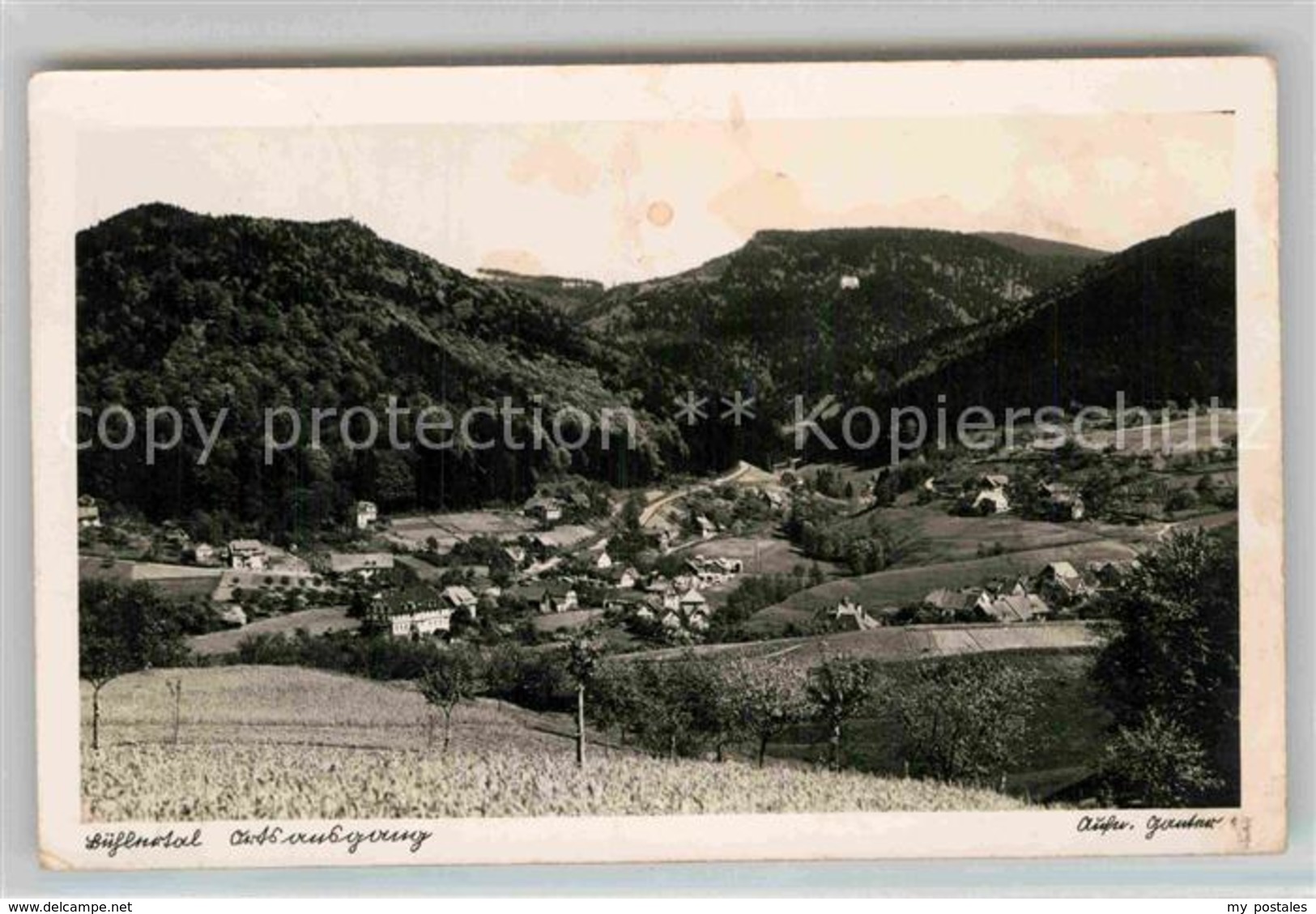 42853972 Buehlertal Panorama Buehlertal - Bühlertal