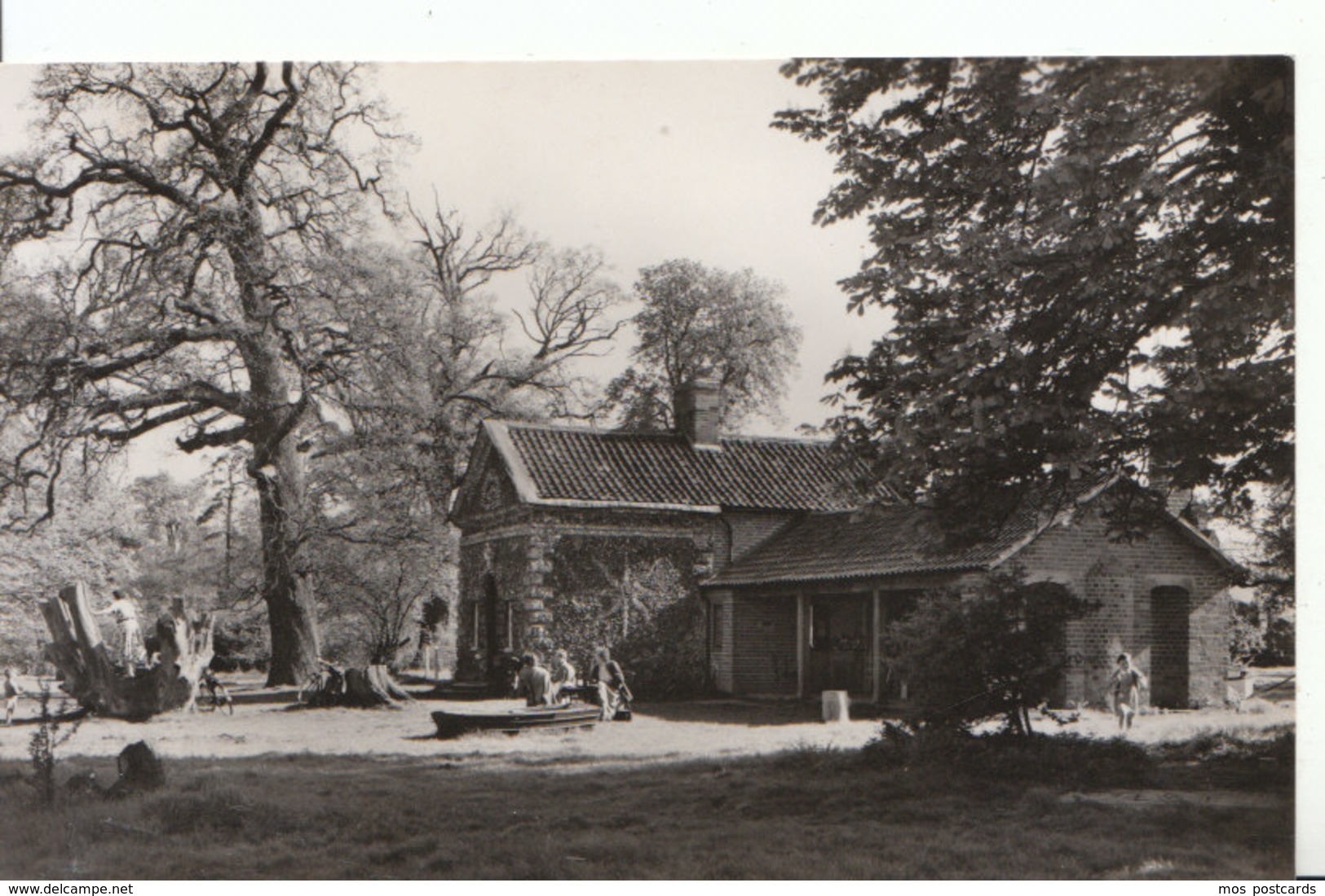 Essex Postcard - Hatfield Forest - The Old Shell House - Ref ND867 - Other & Unclassified