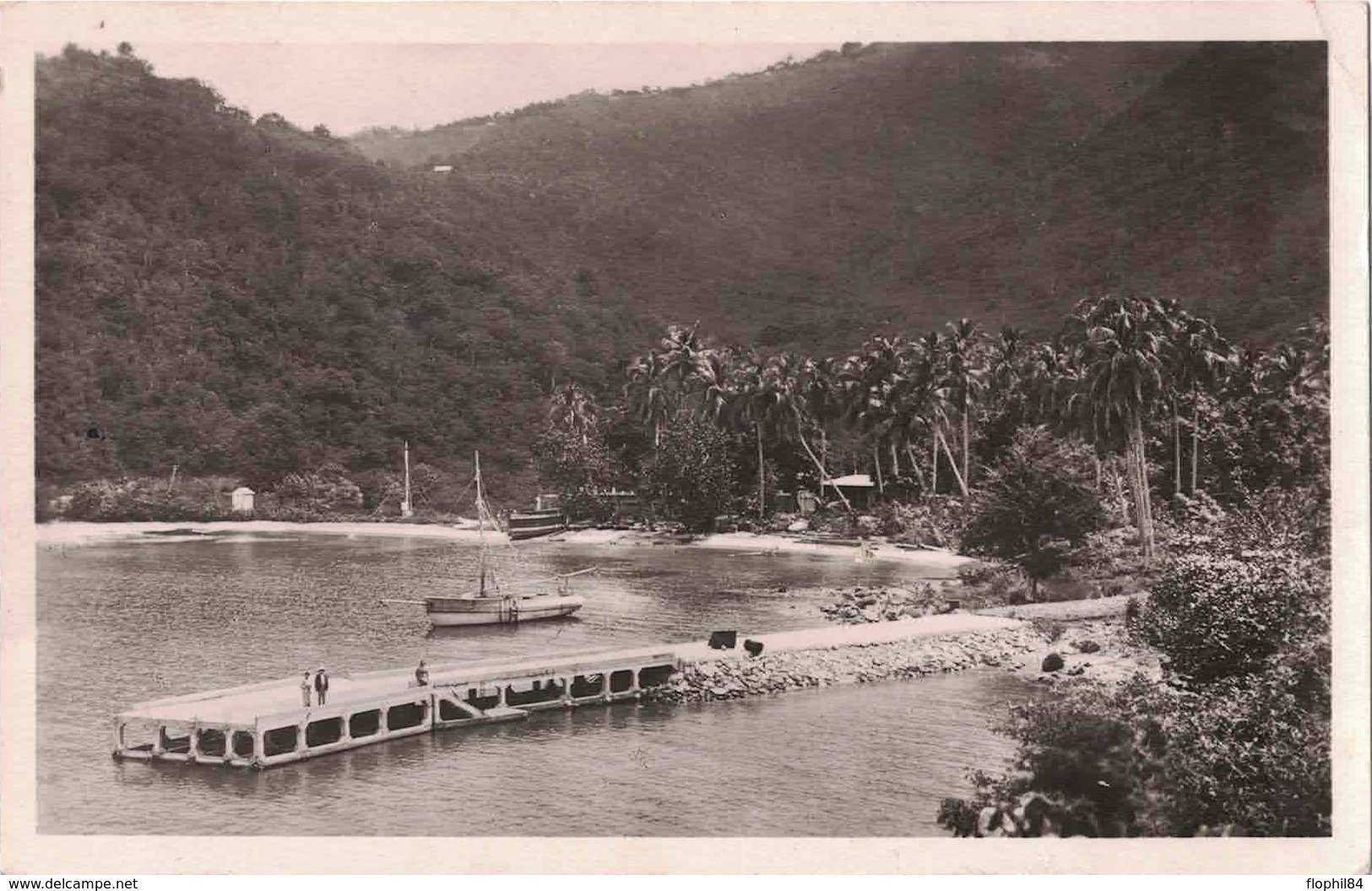 GUADELOUPE - BASSE-TERRE  - 50c SEUL SUR LETTRE POUR PARIS - L'ANSE DE LA BARQUE. - Lettres & Documents